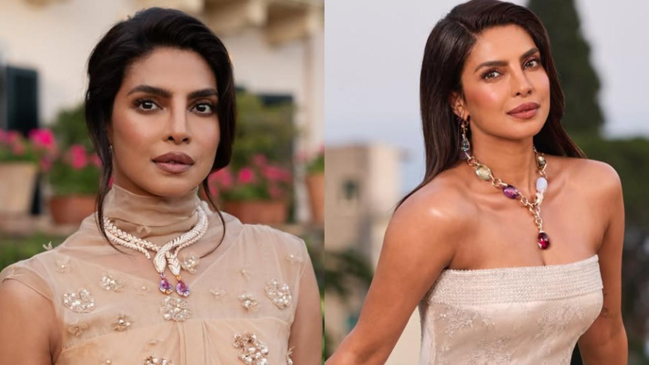 Priyanka Chopra Upcoming Film