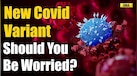  COVID-19 News: How Dangerous Is the New JN.1 Variant? Symptoms And Precautions Explained 