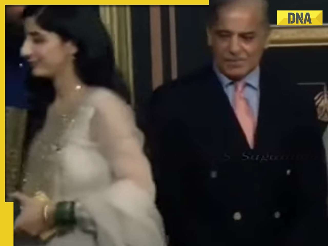 Pakistan PM Shehbaz Sharif's old video 'deep-scanning' actor Mawra Hocane goes viral, netizens say 'Sharif by name'