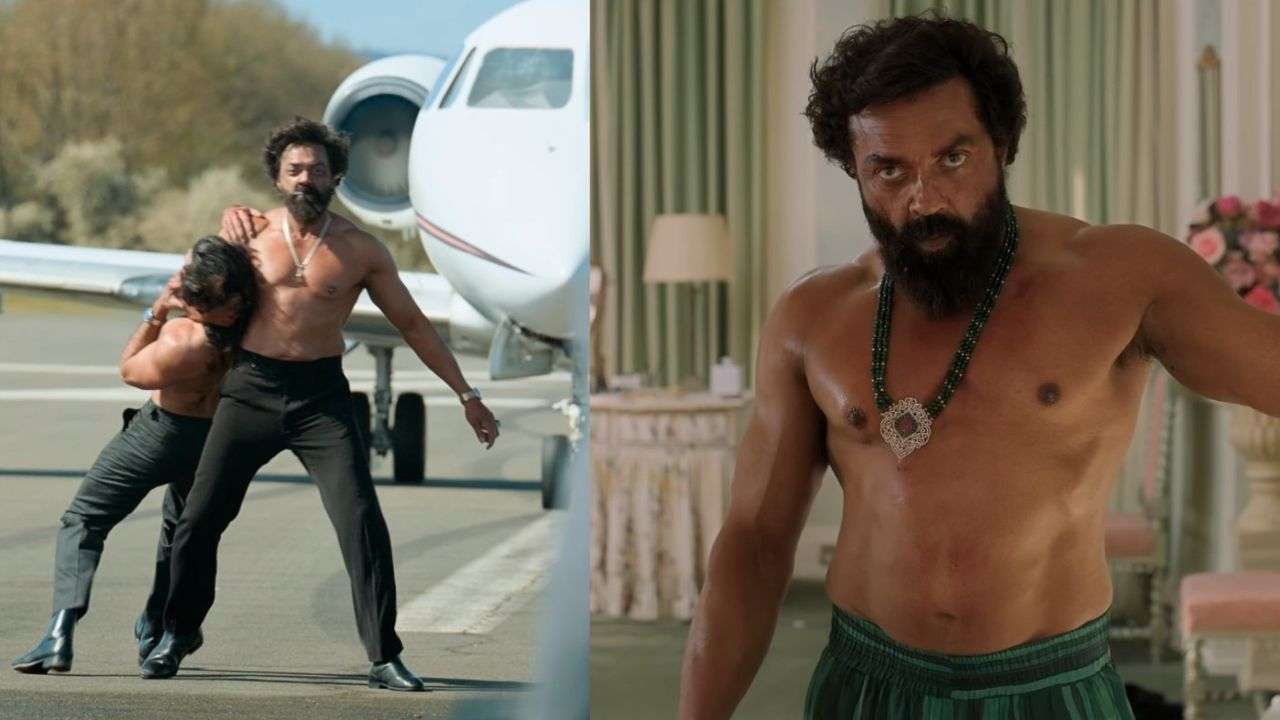 Transformation for Animal