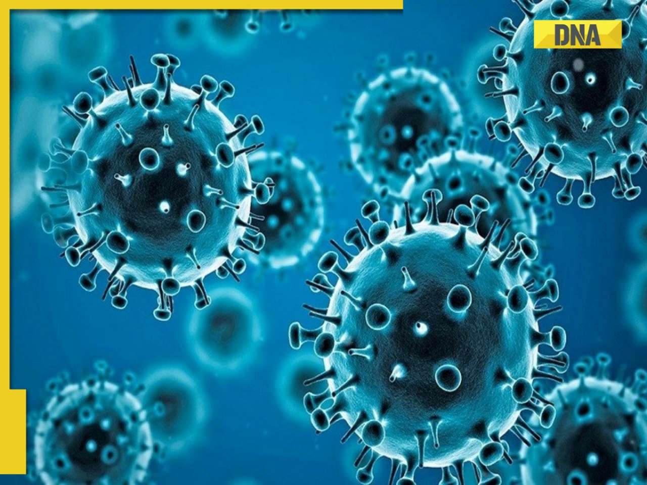 What is COVID-19? How many people died of Coronavirus? WHO says...
