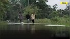  Northeast India Floods: Northeast Reels Under Severe Floods; Death Toll Hits 38 | Assam | Manipur 