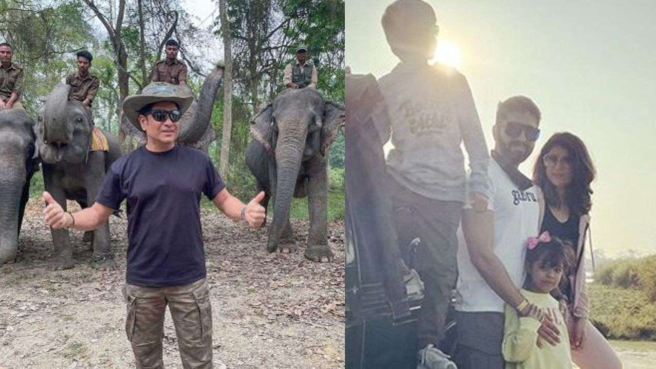 Kaziranga National Park, Assam