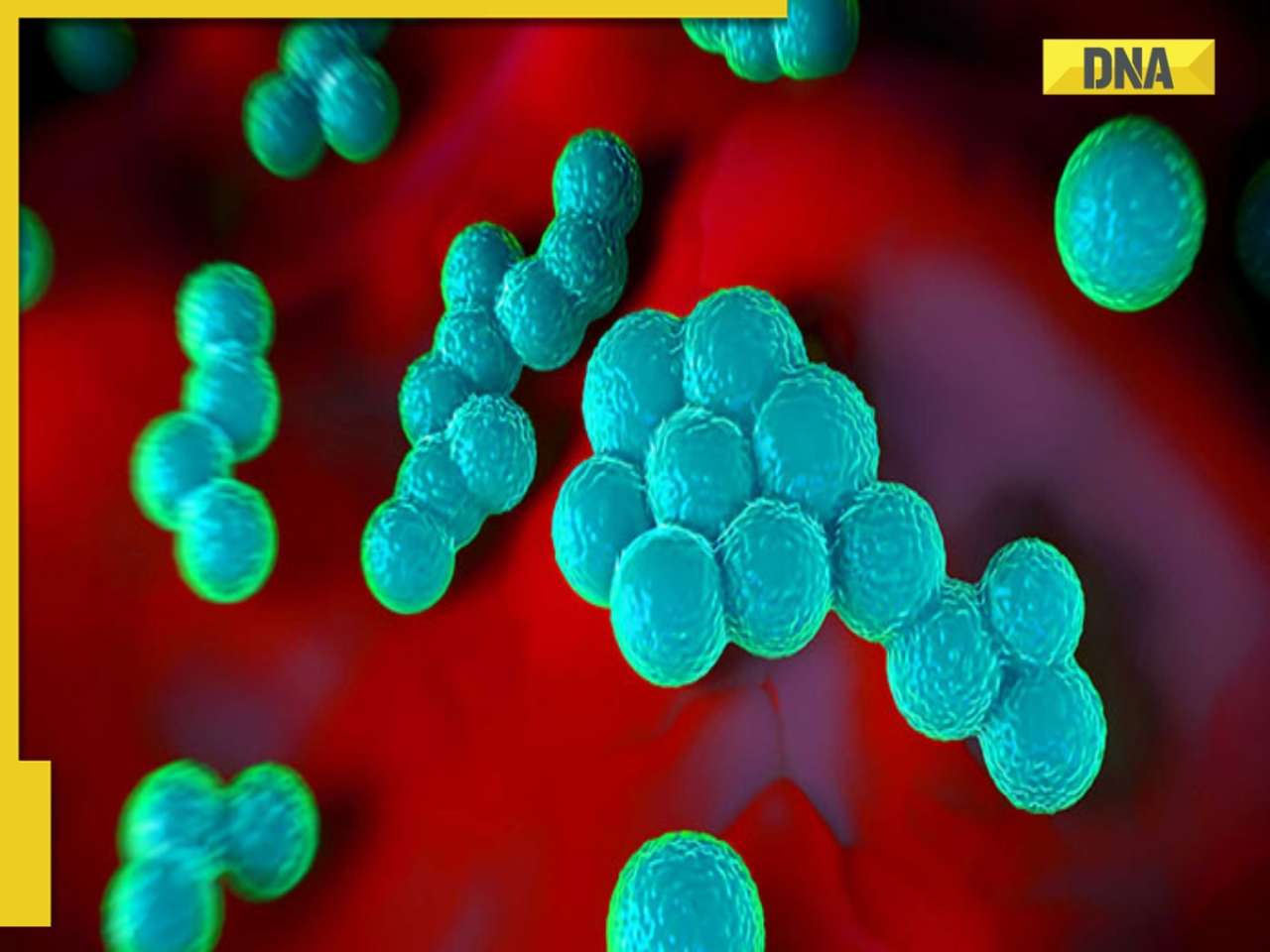 What is agro-terrorism? Chinese admits smuggling toxic pathogen into US, India vulnerable to Pakistani agriterrorism?