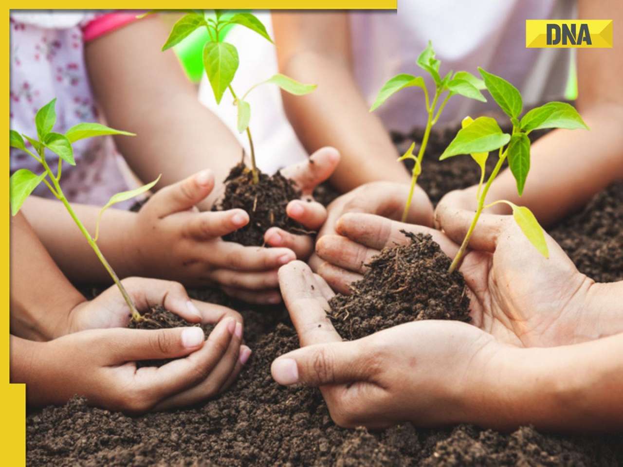 Happy World Environment Day 2025 Theme, significance, inspiring