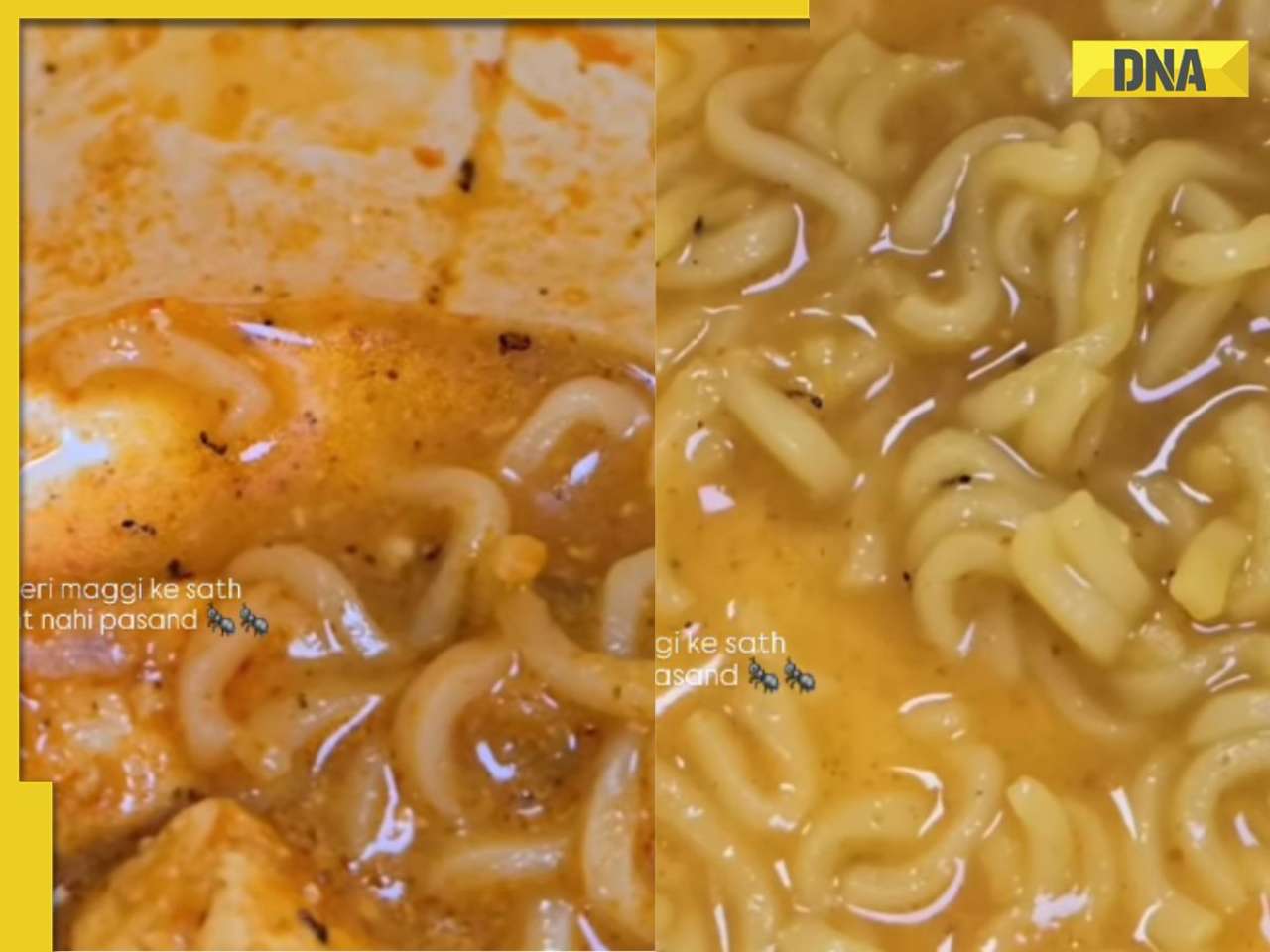 'This is unacceptable': Woman finds ants in instant noodles ordered online, internet reacts strongly
