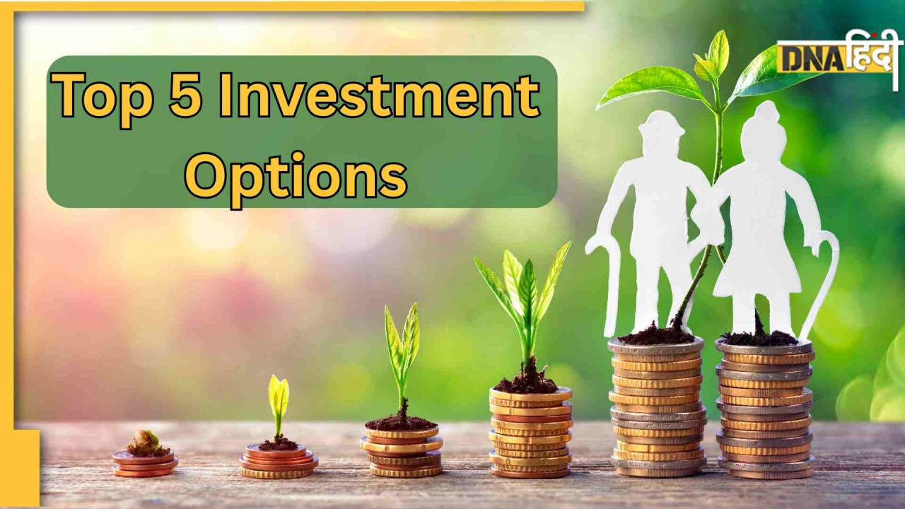 5 Best Investment Options: इन 5 जगहों पर पैसा लगाएं, बुढ़ापे में नहीं होगी कोई टेंशन