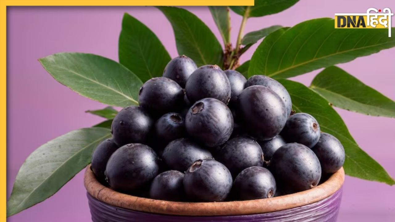 क्या High Blood Pressure और डायबिटीज कंट्रोल करता है जामुन?