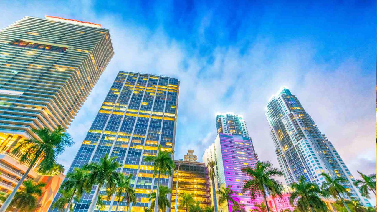 Florida is the new celeb destination