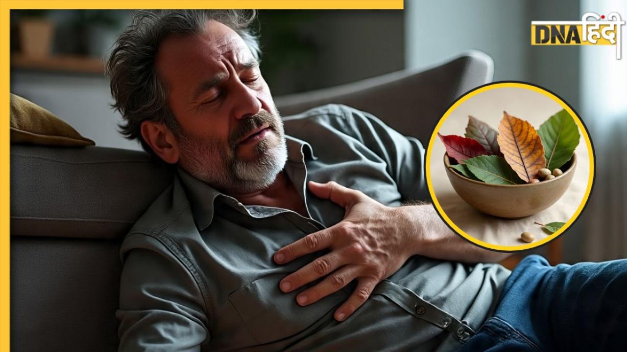High Cholesterol को कंट्रोल कर देंगी ये 5 पत्तियां, सेहत को मिलेंगे कई फायदे