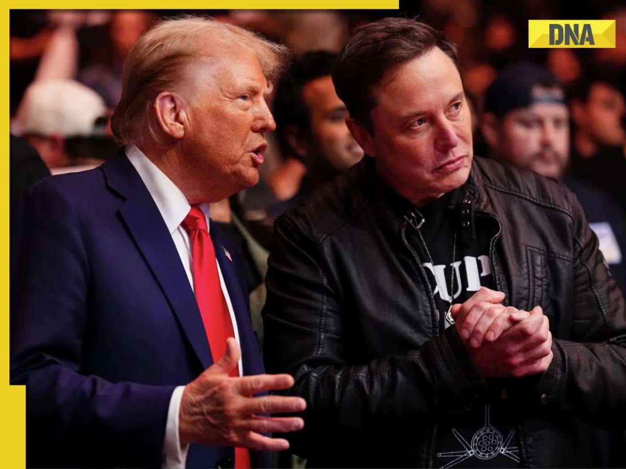Elon Musk's Tesla shares surge again after US President Donald Trump announces...; net worth climbs to Rs...