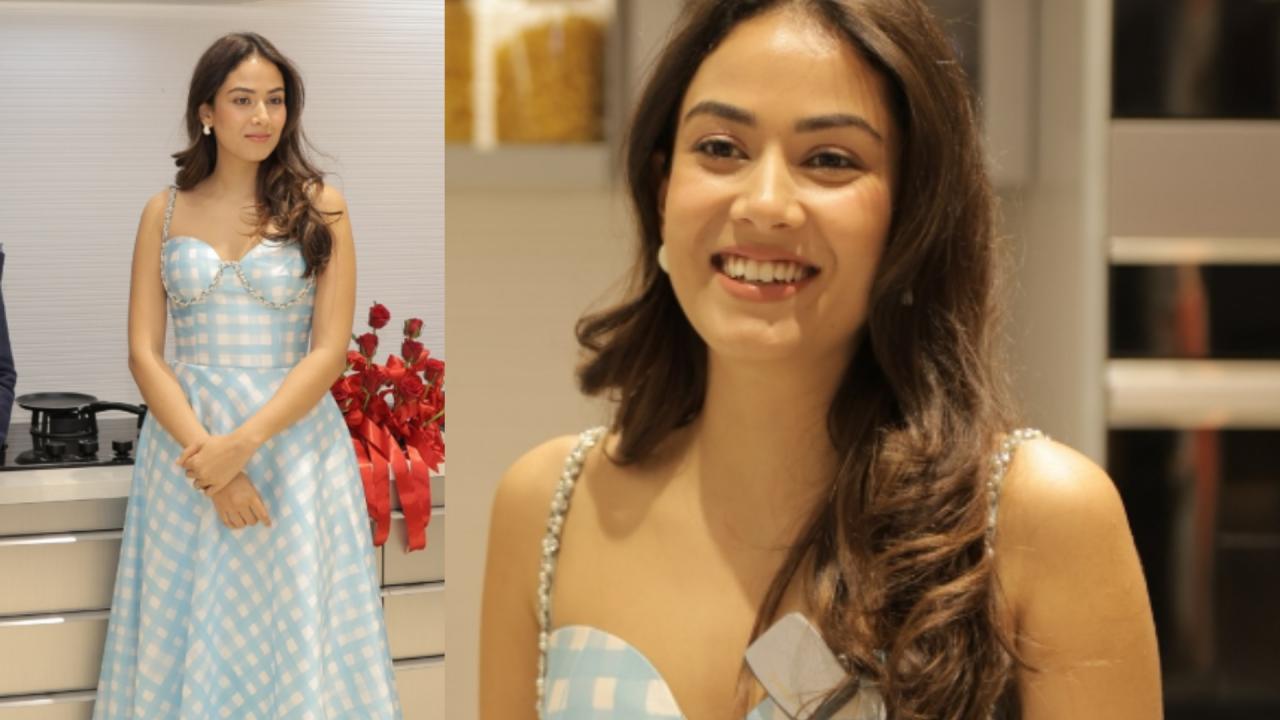 Mira rajput
