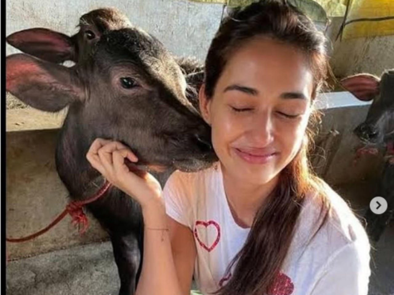 Tiger’s mom Ayesha Shroff wishes Disha