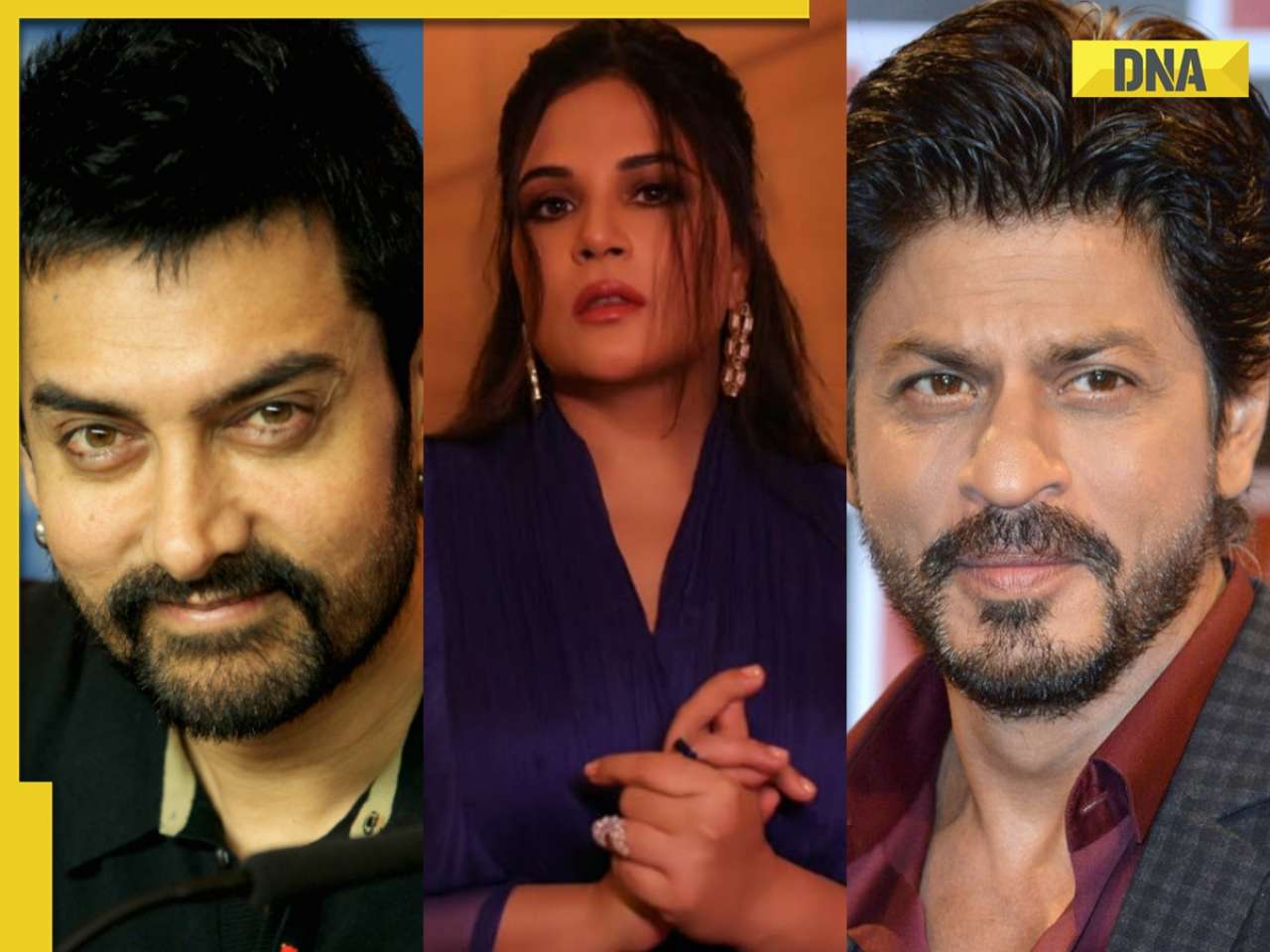 Richa Chadha shuts down Aamir Khan fan for saying Shah Rukh Khan copied Swades from a TV serial: 'You do know that...'