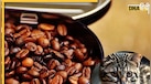 Cat Potty Coffee: ऐसी अजीबोगरीब कॉफी जो बिल्ली की पॉटी से होती है तैयार, शौक से पीते हैं लोग