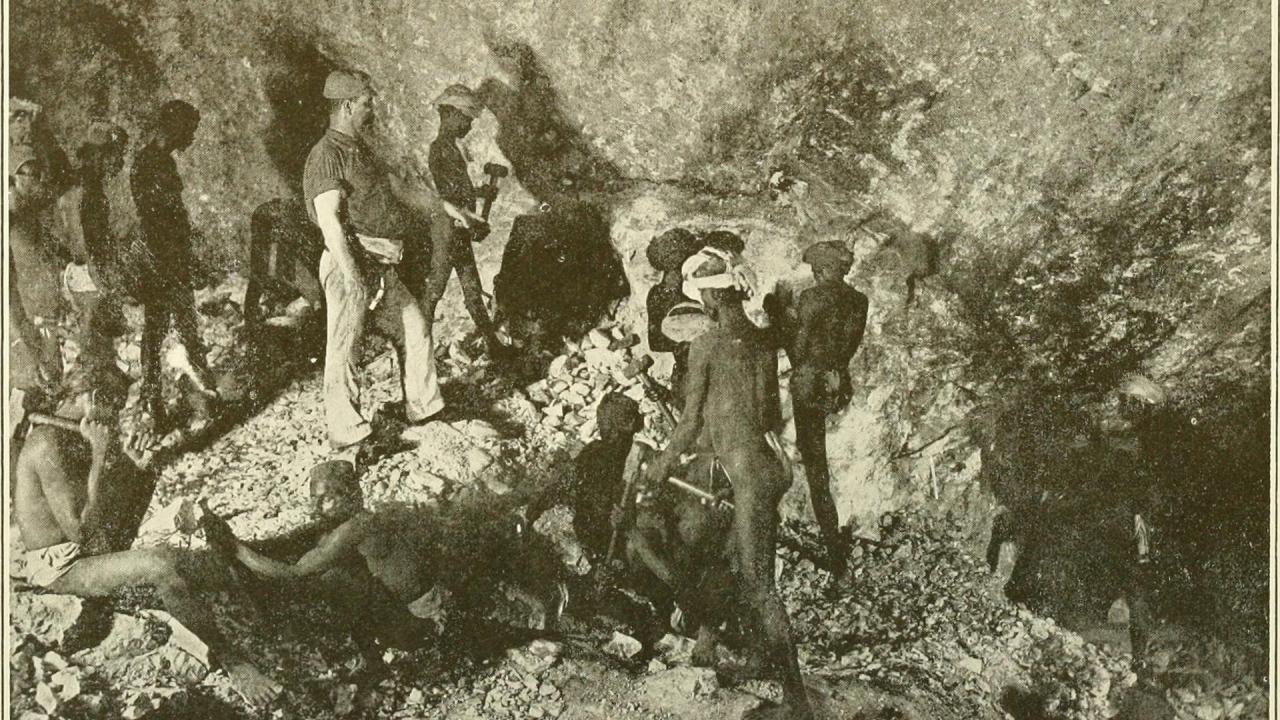 अंग्रेजों ने भारत में लूटी थी यही 'सोने की चिड़िया'