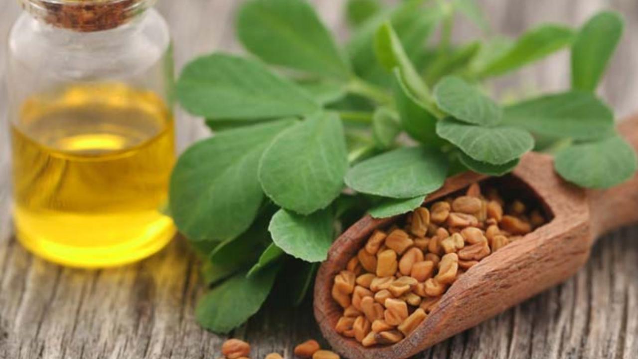 मेथी सीड्स और सरसों का तेल
