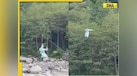  SHOCKING: 10-year-old falls off 30 feet after zipline breaks mid-air in Manali, video surfaces 