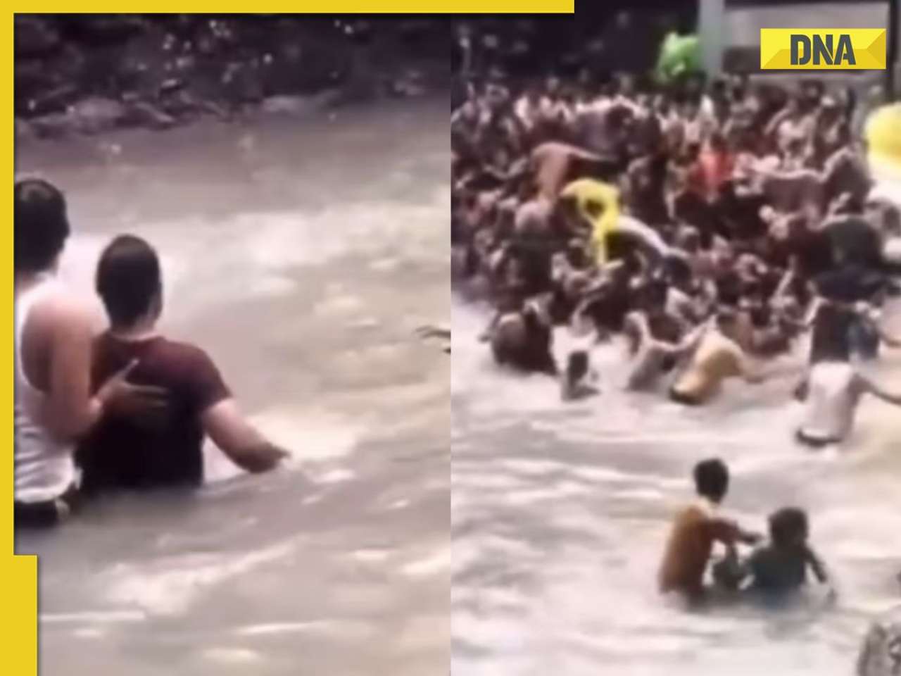 Viral video: Tourists panic as snake slithers into crowded waters at Kempty falls