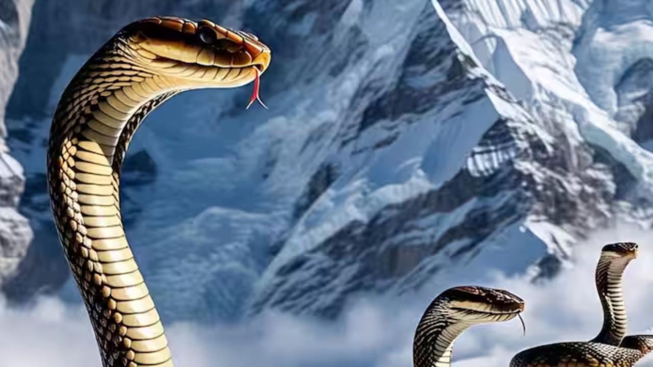 ये बदलाव इंसानों के लिए ठीक नहीं