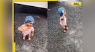  Viral Video: Toddler's adorable dance on car alarm thinking its music melts hearts on internet, netizens say 'finding happiness in little things' 