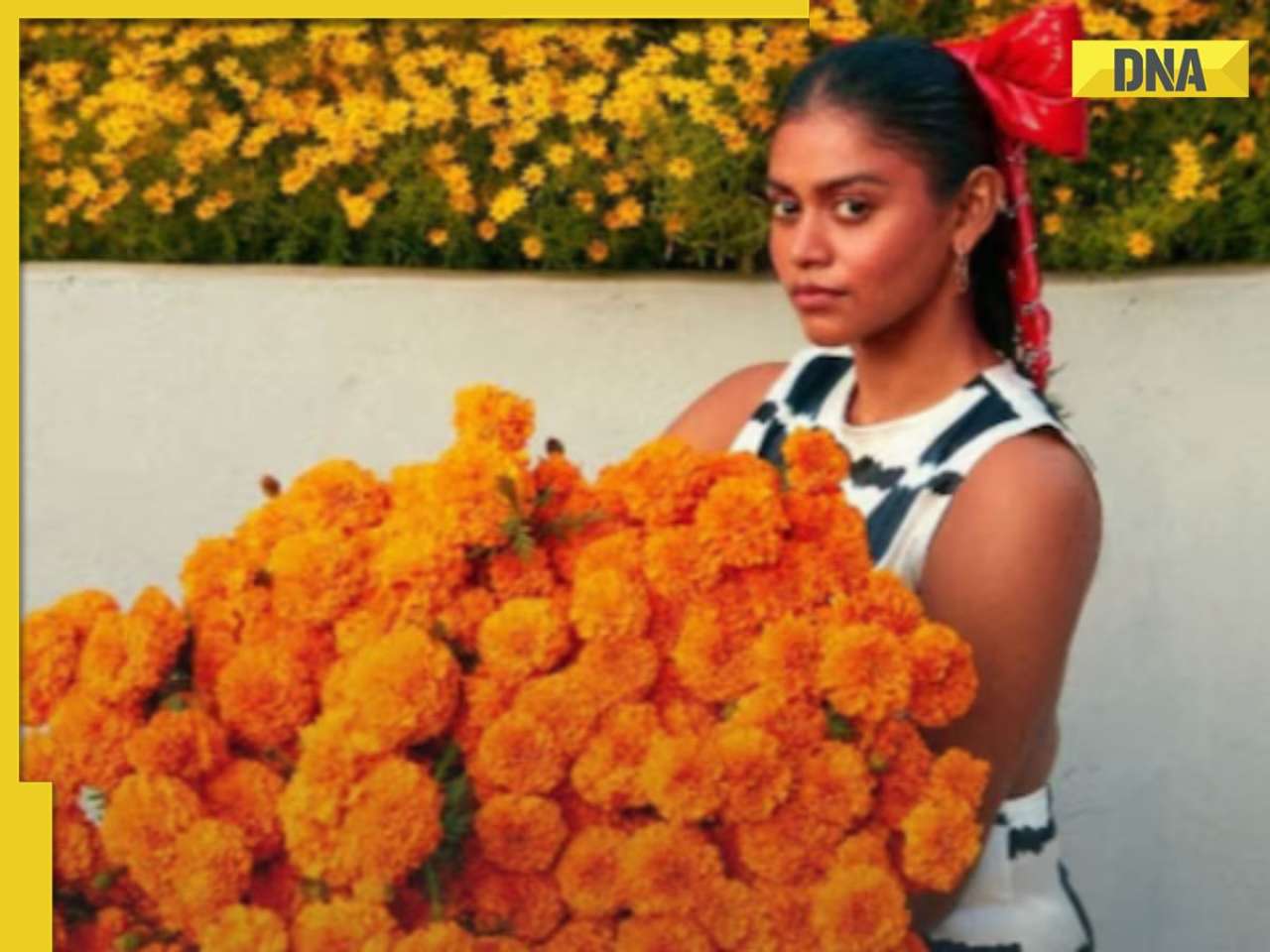 Why #BoycottNike is trending: Indian users slam brand’s campaign featuring controversial influencer