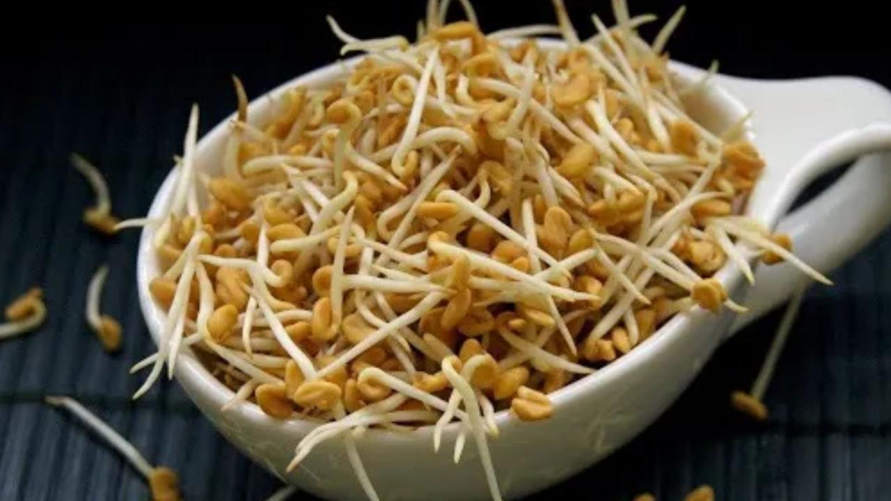 अंकुरित मेथी