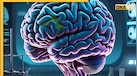 Healthy Brain Tips: रोजाना की ये 5 आदतें जो छात्रों के मानसिक स्वास्थ्य को देती हैं बढ़ावा