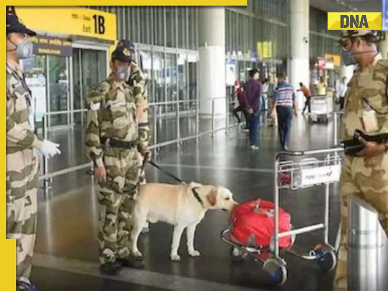 Hyderabad's Begumpet airport gets bomb threat, authorities launch search operation