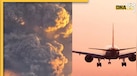 इंडोनेशिया के बाली पहुंचने ही वाला था  Air India का विमान, फिर अचानक दिल्ली के लिए क्यों लिया U-टर्न, रास्ते में क्या हुआ ऐसा?