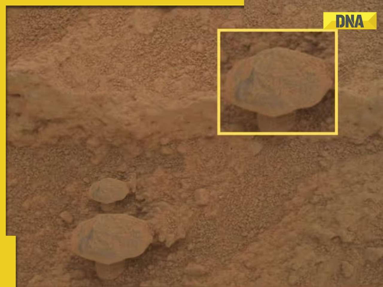 Mushroom on Mars? NASA image triggers fresh life debate over life on 'Red Planet'