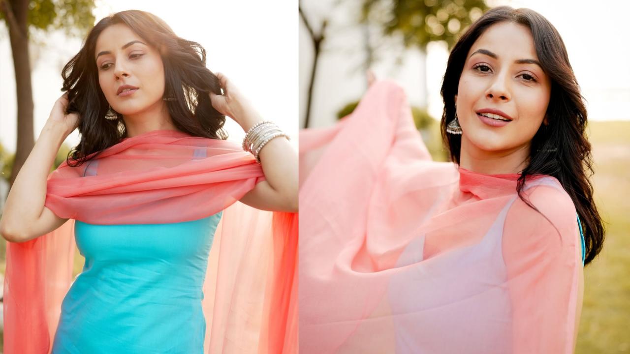 शहनाज गिल लेटेस्ट रील