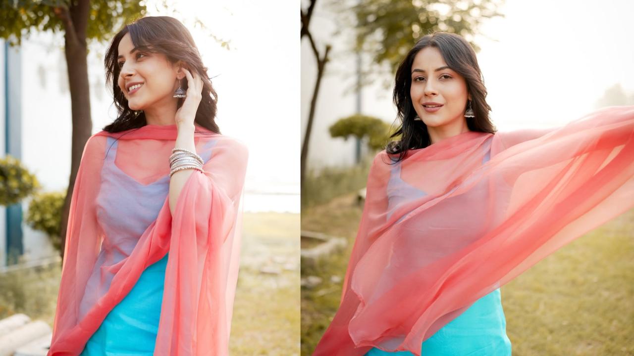 शहनाज गिल नेटवर्थ