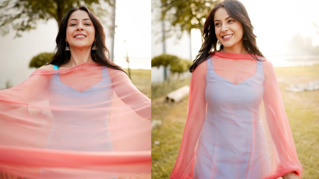 शहनाज गिल फिल्में