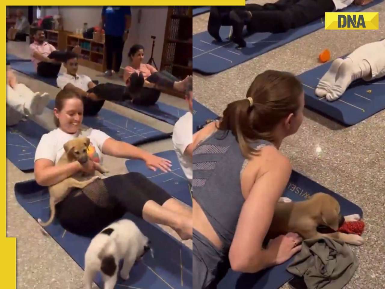 Australian diplomats celebrates 'Yoga Day' with adorable puppy in Delhi: 'Perfect way to find your zen'