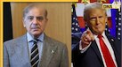 Trump के लिए नोबेल की पेशकश पड़ी पाकिस्तान को महंगी, मुल्क में हर कोई शाहबाज को बता रहा बेशर्म! 