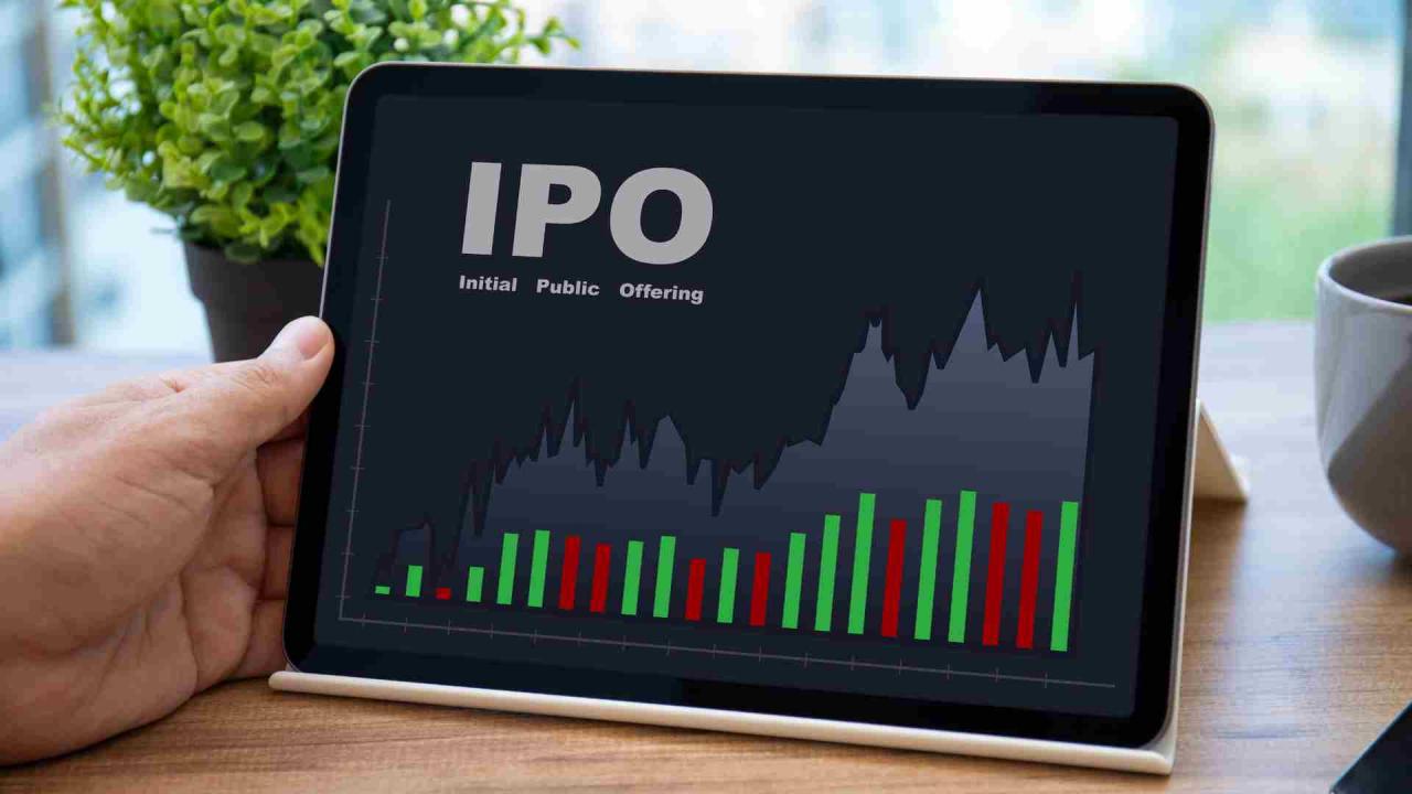 HDB Financial Services IPO