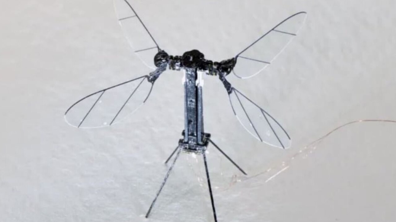 Drone Structure 