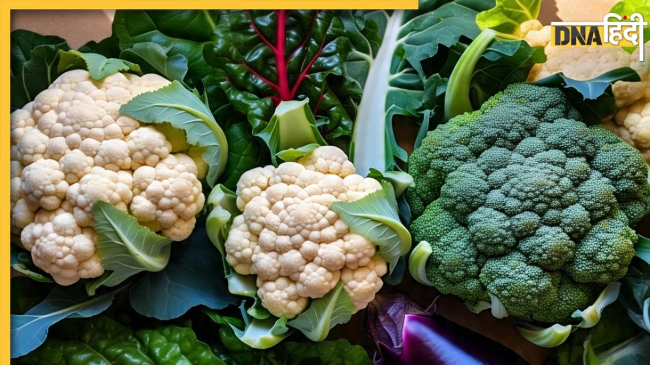 Monsoon Diet: मानसून में ये सब्जियां बन जाती हैं कीड़ों का घर, बारिश शुरू होते ही डाइट से करें बाहर