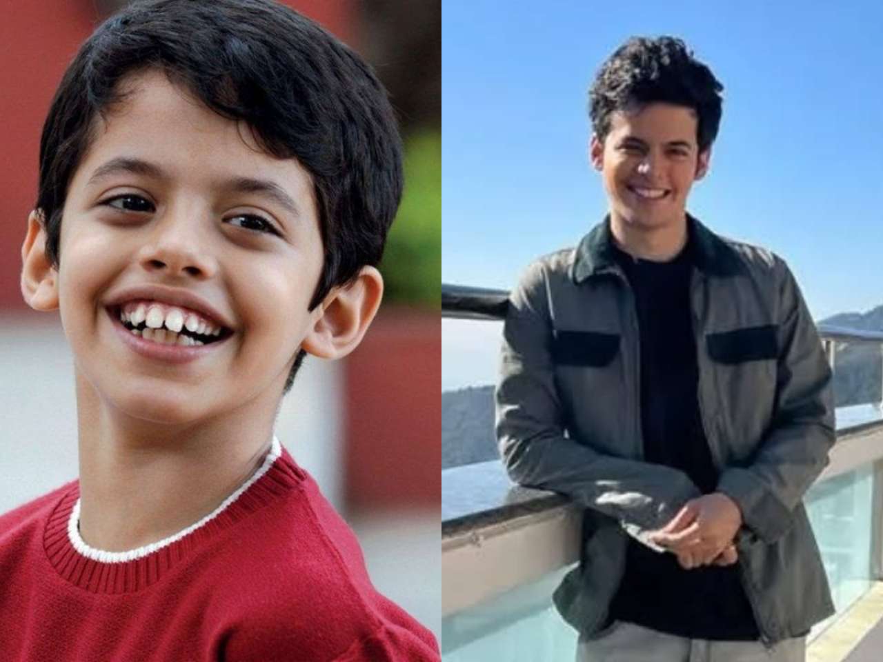 Darsheel Safary