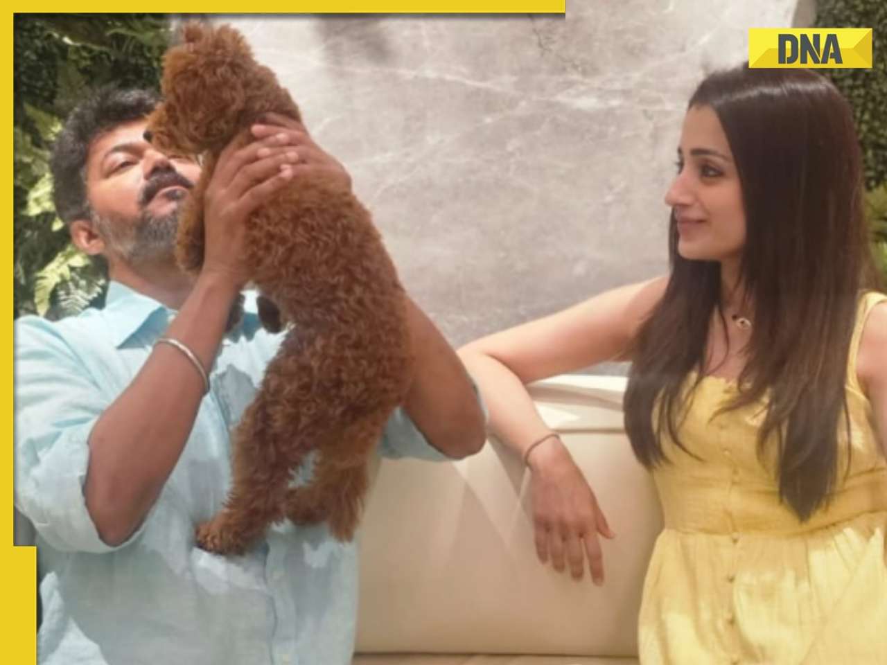 Trisha Krishnan drops cryptic note on love amid dating rumours with Thalapathy Vijay: 'It confuses people who are...'