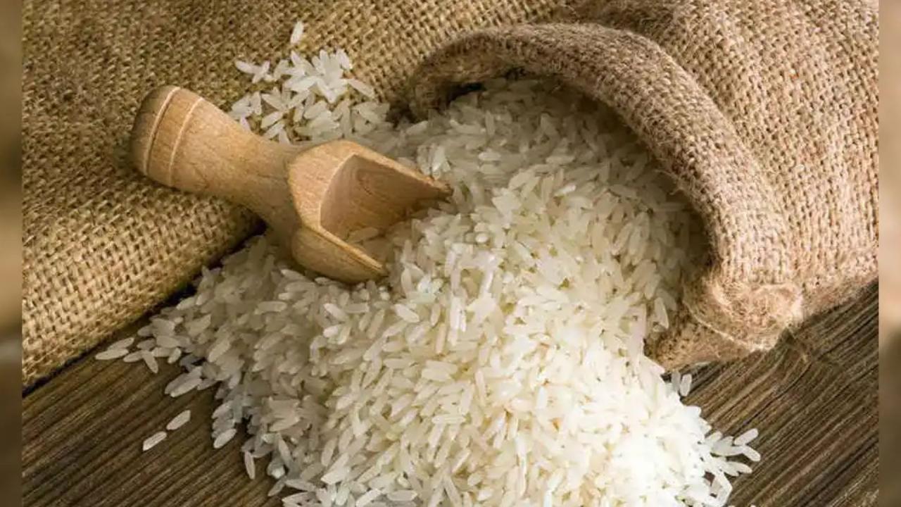 चावल