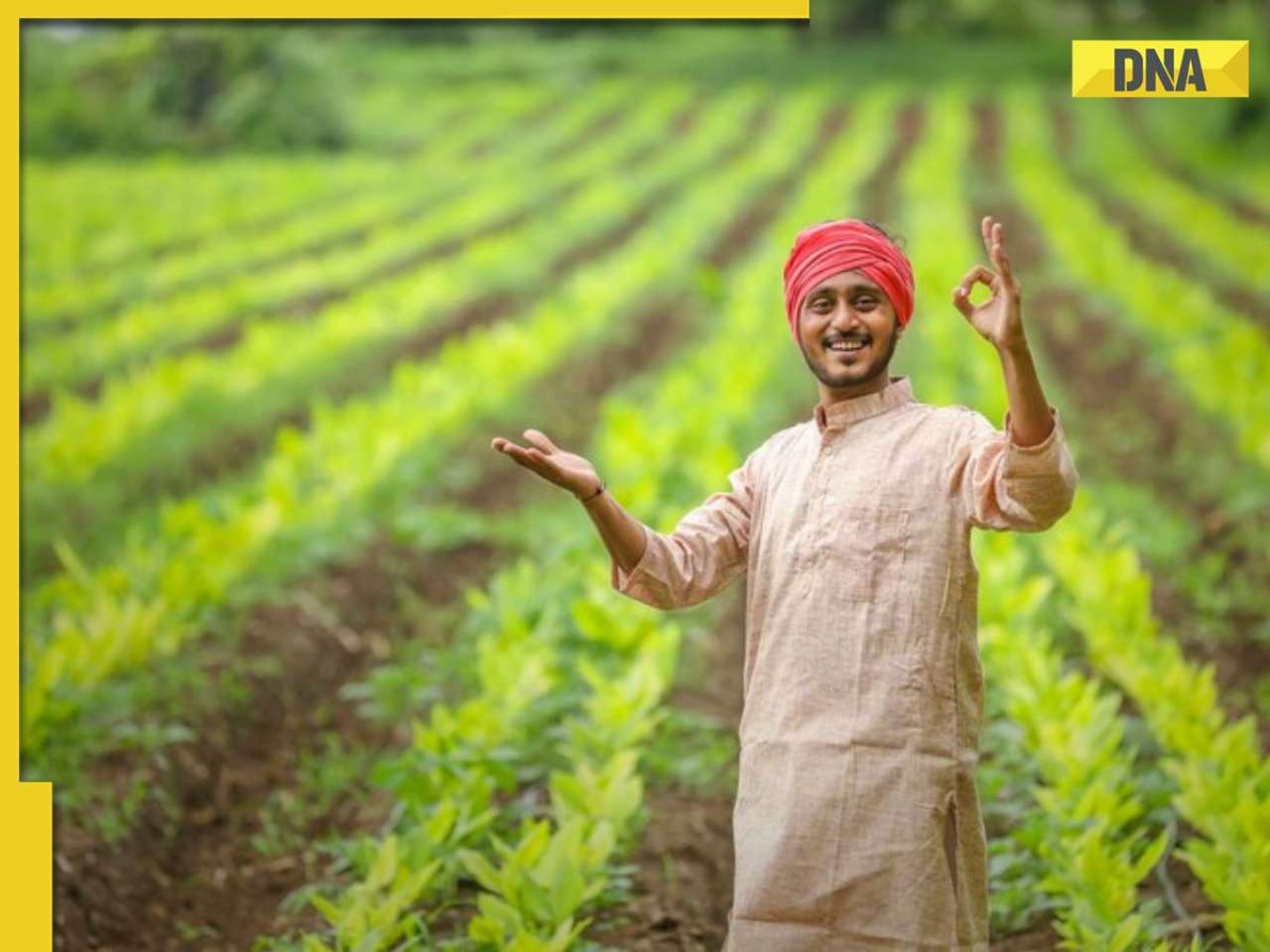 PM-Kisan scheme 20th installment to be released soon: Complete these 4 must-do tasks now to get Rs 2000, here's how to register