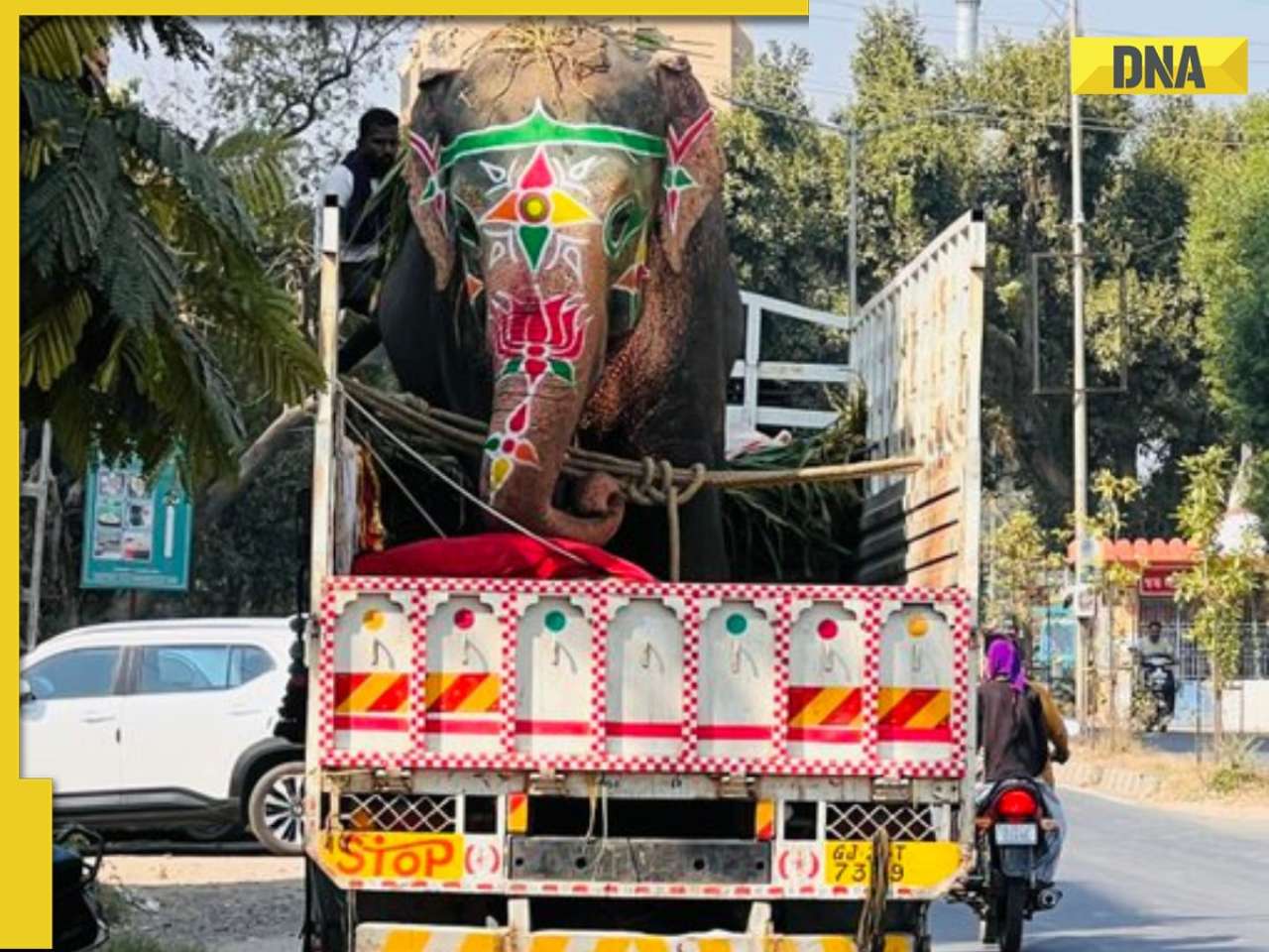 Caught on cam: Three elephants goes out of control, tramples people causing chaos in Ahmedabad's Rath Yatra 2025, watch