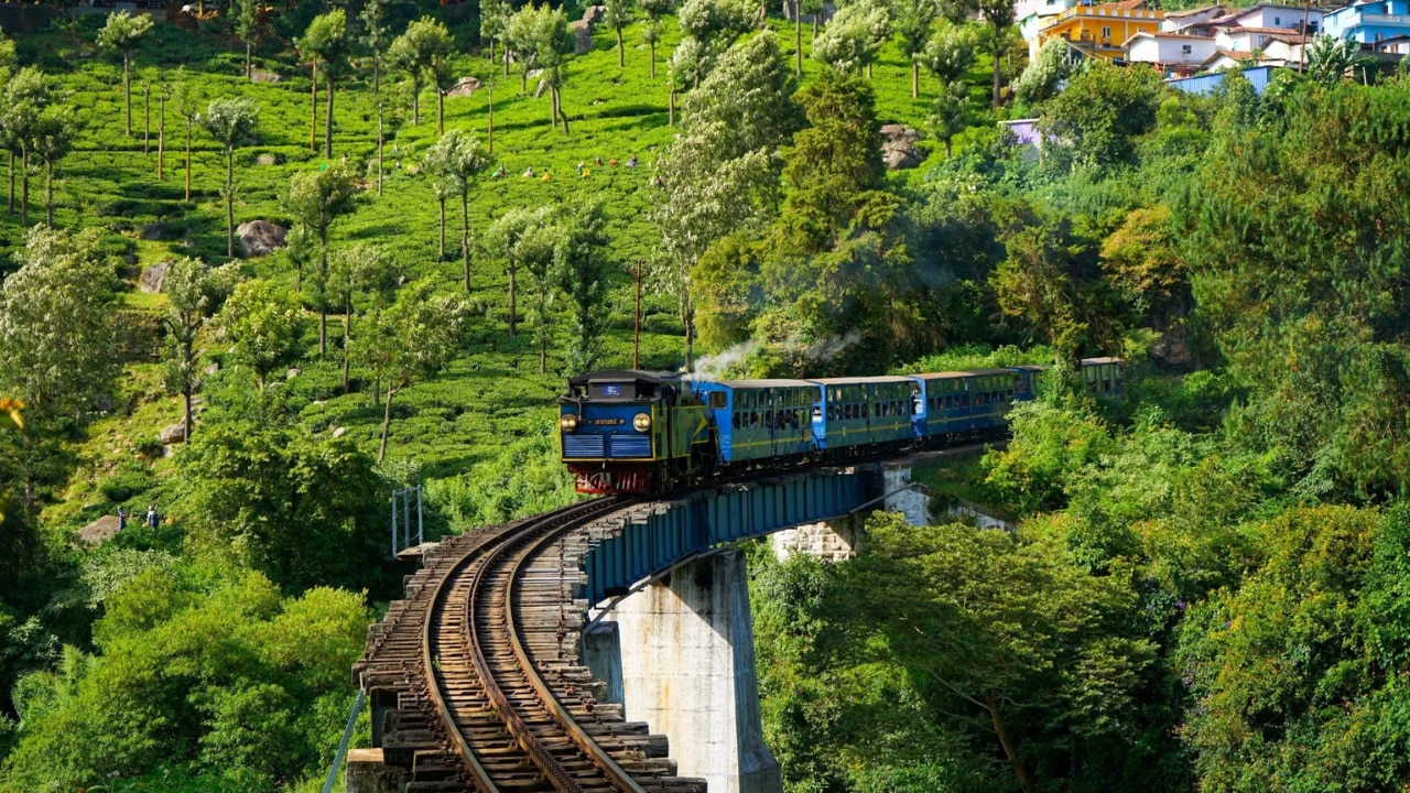Ooty, Tamil Nadu
