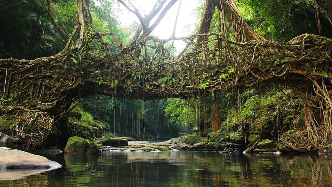 Mawlynnong, Meghalaya