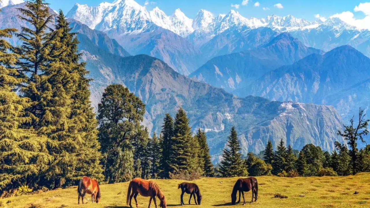 Munsiyari, Uttarakhand