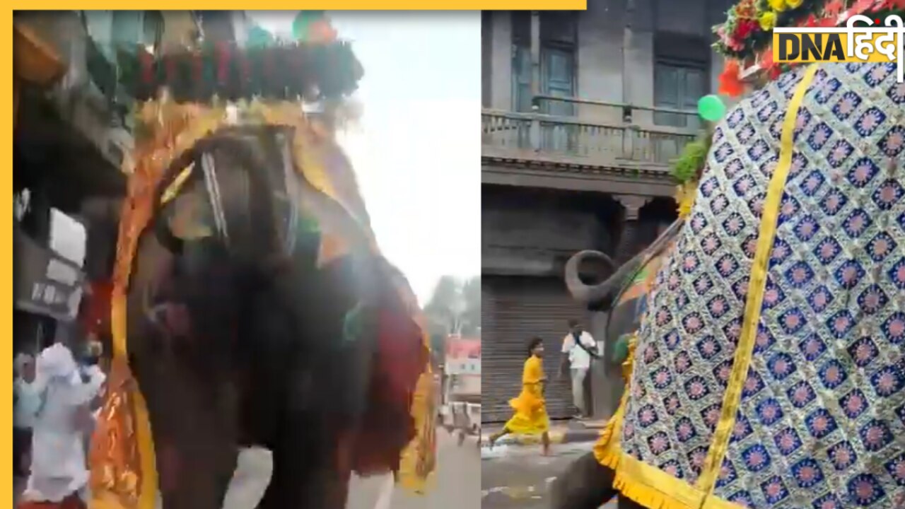 Ahmedabad Rath yatra 2025: अहमदाबाद जगन्नाथ रथयात्रा में बेकाबू हुआ हाथी, जान बचाने के लिए मची भगदड़, Video Viral 