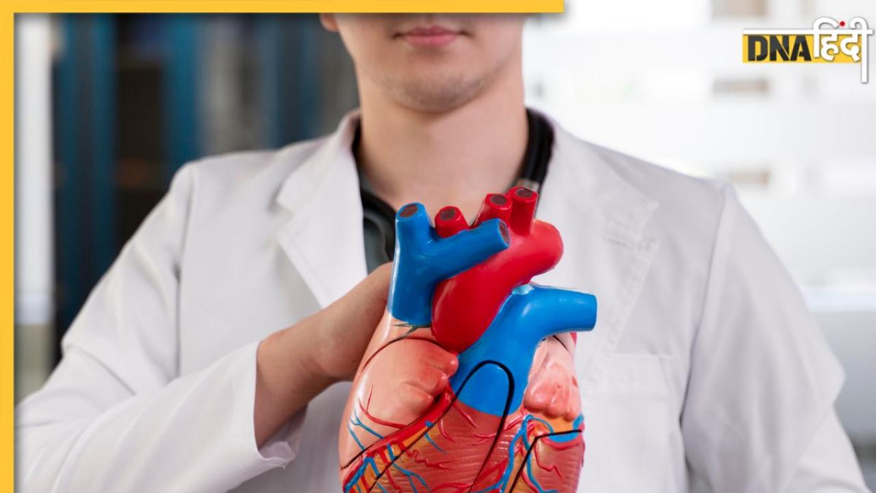 How to Reduce Cholesterol: कोलेस्ट्रॉल कम करने के लिए अपनाएं ये 5 हेल्दी आदतें, वरना नहीं किसी भी उपाय का फायदा