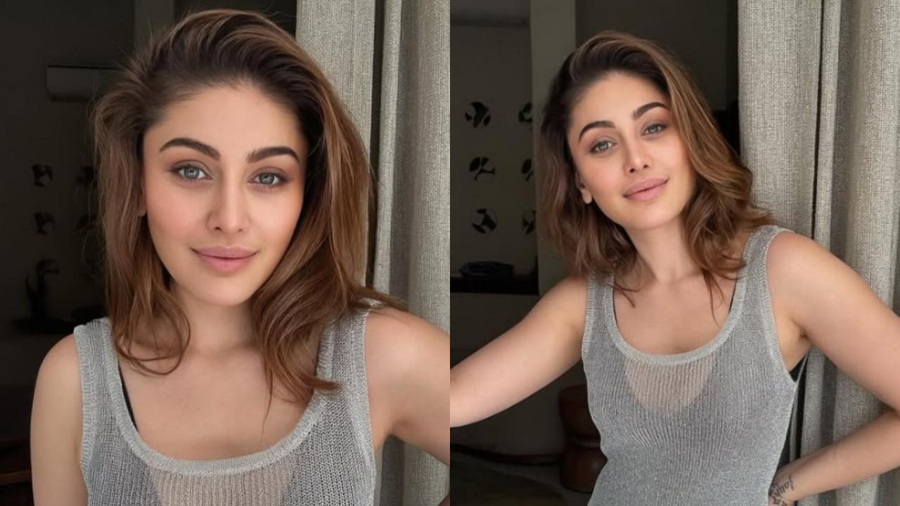 शेफाली ने इन शोज में किया काम